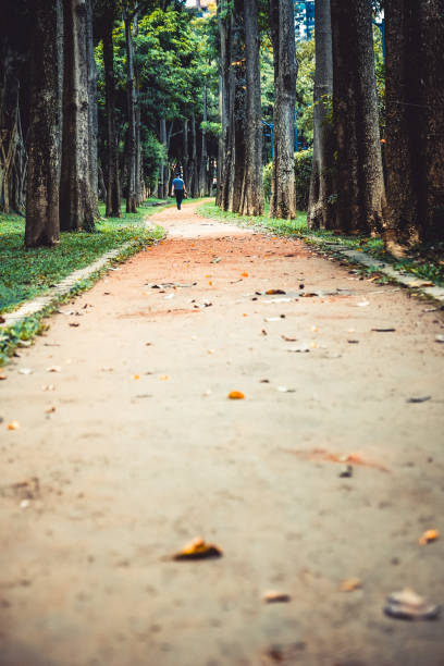 istock A man walks on the trail in the park. 1152346097