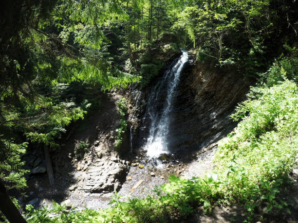 cachoeira. cachoeira da montanha no parque - gatlinburg waterfall smoke usa - fotografias e filmes do acervo