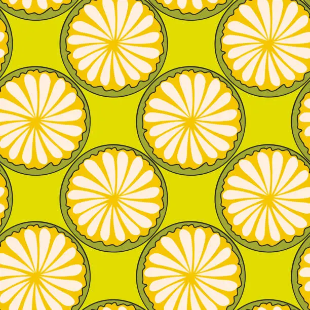 Vector illustration of Hand drawn abstract cut circles of citrus fruits on green background.