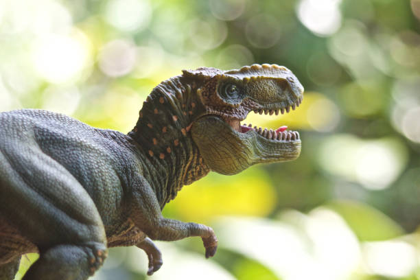 istock Tyrannosaurus Rex 1152348555
