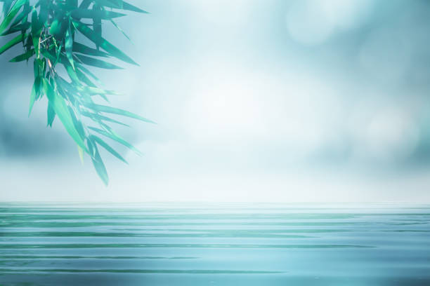 istock bamboo and water on blue abstract background 1152349619
