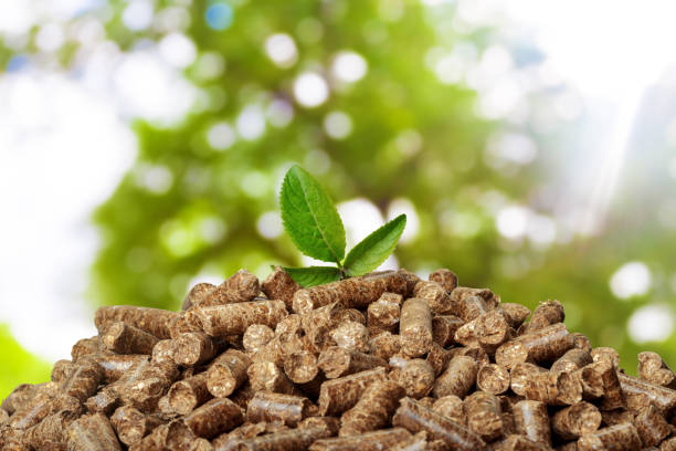 istock Wood pellets on a green background. Biofuels. 1152350046