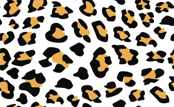 ilustraciones, imágenes clip art, dibujos animados e iconos de stock de patrón de leopardo vectorial sin costuras.  elegante estampado de leopardo salvaje de moda. fondo de impresión animal para tela, textil, diseño, banner publicitario. - leopardo