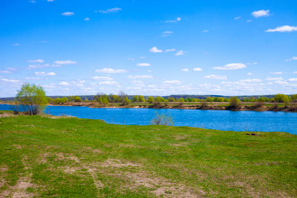 Beautiful summer landscape. Lake and green meadow with trees on a sunny day.