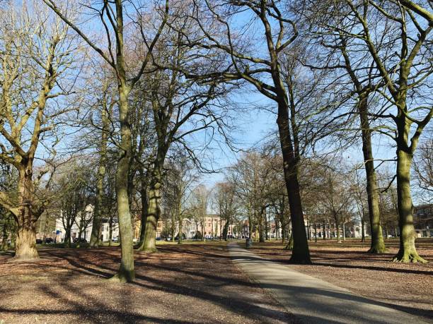 istock Road Amidst Trees Against Sky 1152358992