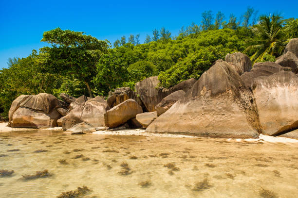 istock The giant granite boulders on the beach 1152359680