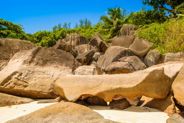 istock The giant granite boulders on the beach 1152359703