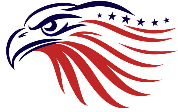 ilustrações de stock, clip art, desenhos animados e ícones de american eagle - patriotic awareness