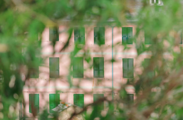 rows of windows on a residential facade behind a bush