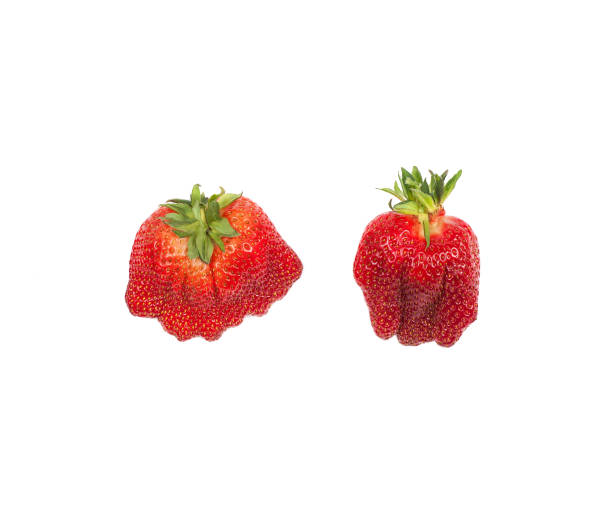 istock Ugly food.Strawberries isolated on white background. 1152370365