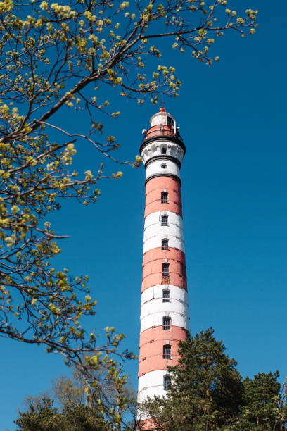 красно-белый маяк на фоне голубого неба и ветвей - amrum summer spring island стоковые фото и изображения