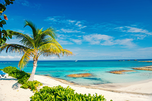 Palm tree, blue sea, sky in Great Stirrup Cay, Bahamas. Tropical beach with white sand and turquoise water. Summer vacation, recreation, relax. Paradise, peace, romance. Travel traveling wanderlust