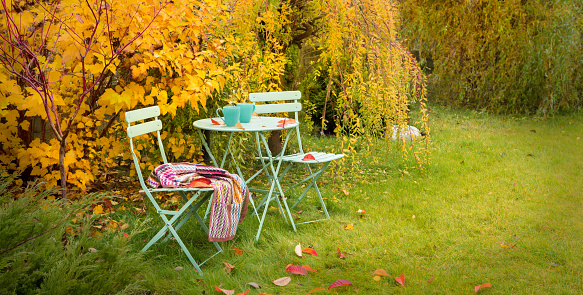 Colorful autumn garden nook - pastel green table, cups of hot tea, chairs and blanket. Outdoor fall relaxation scenery - countryside lifestyle concept.