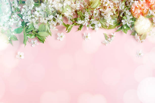 istock Spring blossom. Cherry flowers flat on pastel background. Greeting card with white flowers, bokeh , copy space 1152373289