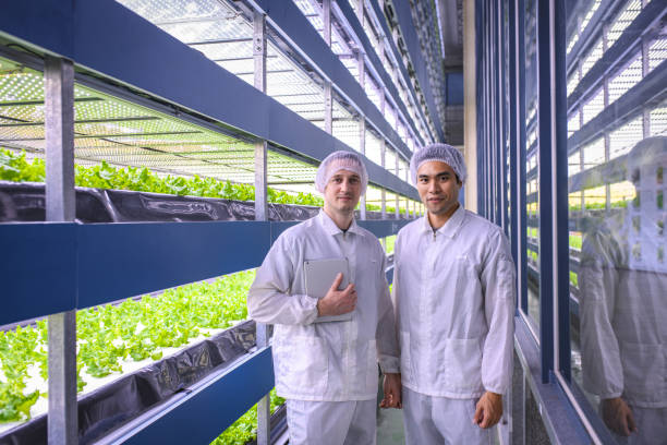 istock Precision Agriculturalists Evaluating Indoor Crop Growth 1152373316