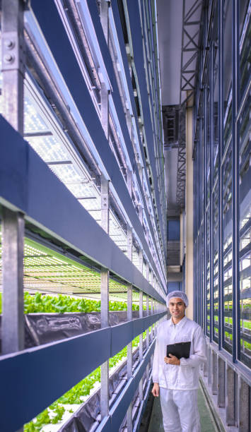 Taiwanese Indoor Gardener Standing Among Stacks of Crops Taiwanese environmentalist with a digital tablet walking between stacks of vertically farmed crops and observing their growth. 2590 stock pictures, royalty-free photos & images