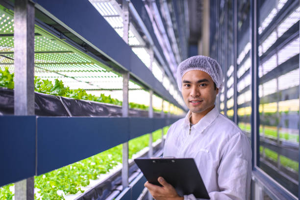istock Taiwanese Hydroculture Specialist Studying Farming Results 1152373336