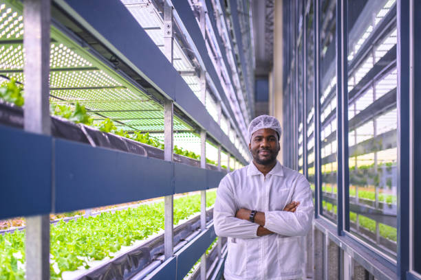 istock African Botanist Standing Among Plant Crops at Vertical Farm 1152373345