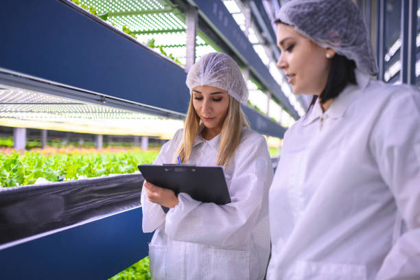 istock Female Sustainability Specialists Noting Indoor Crop Growth 1152373356