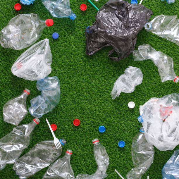istock The concept of recycling plastic and environmental protection. Pet preforms for plastic bottles on the green grass. Artificial turf. 1152374735