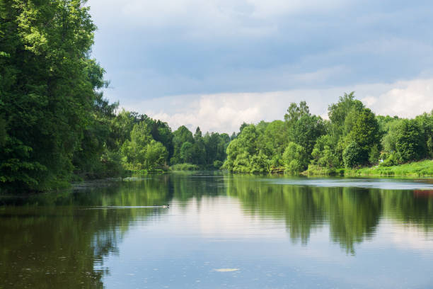 istock Forest trees on the river Bank. Reflection in the river on a Sunny summer day. 1152375582