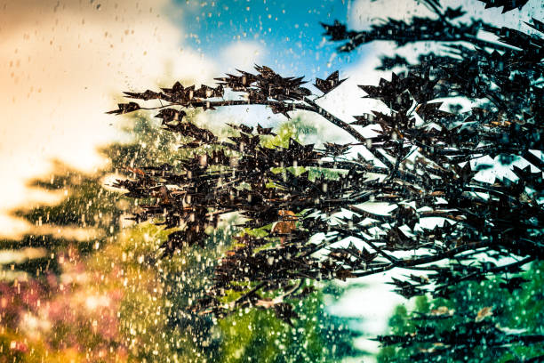 Close up color image depicting trees in a row outdoors with red/orange leaves, and rain is coming down ferociously. The fast shutter speed freezes the rain in its motion. Room for copy space.