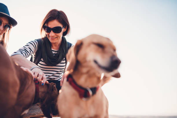istock Woman cuddling dogs 1152377262