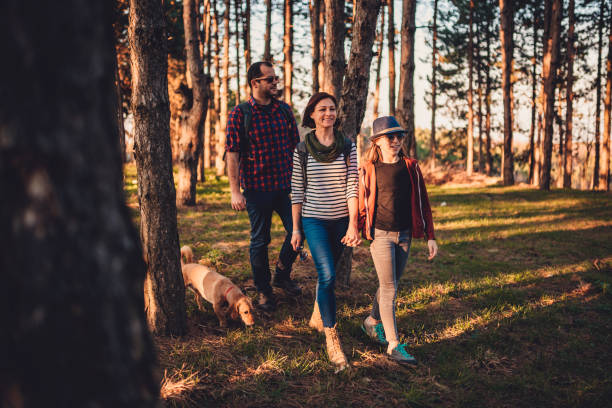 istock Family with dog hiking on a pine forest 1152383217