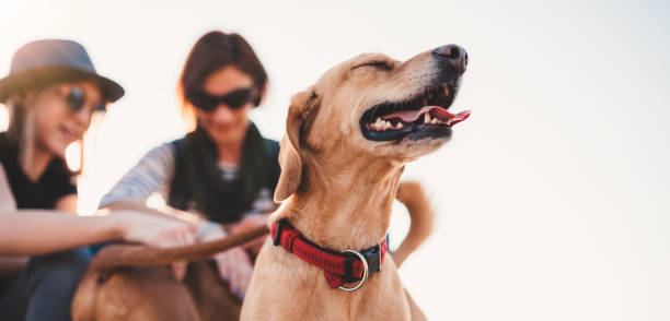 Happy dog and his owners