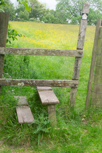 istock Turnstile for walkers with butter cup field 1152388839