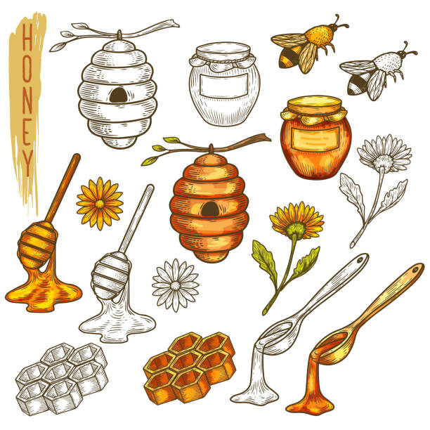 ilustraciones, imágenes clip art, dibujos animados e iconos de stock de conjunto de elementos de miel aislados en línea - spoon honey cute jar