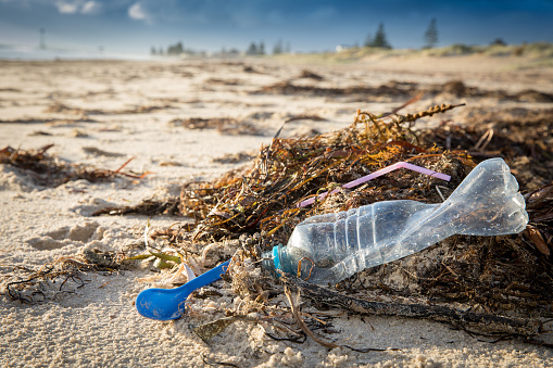 Cleaning up plastic rubbish off the beach.