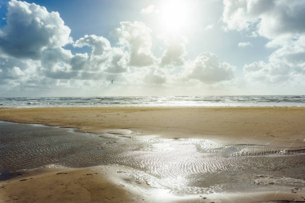 Panoramic view of the beach and the mud flat sea with a watercourse.