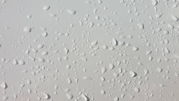 istock Droplets of water on white background 1152395424