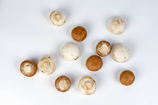mushroom Mix white brown button mushroom top view on white background buna shimeji stock pictures, royalty-free photos & images