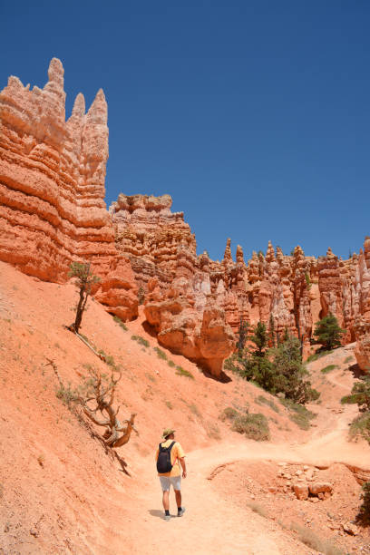 istock Man hiking in beautiful park in Utah. 1152398777