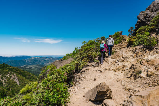 Mt Tamalpais hike, Marin County, California, USA Walking on Mt Tamalpais, Marin County, California, USA. tam o'shanter stock pictures, royalty-free photos & images