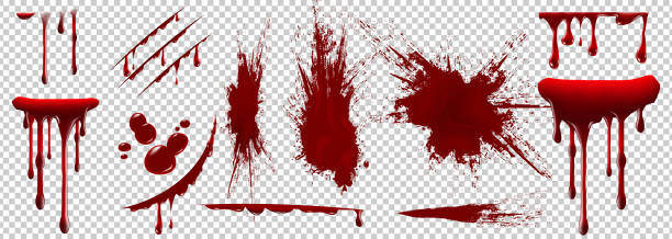 Realistic Halloween blood isolated on transparent background. Blood Drops and splashes. Realistic Halloween blood isolated on transparent background. Blood Drops and splashes. Can be used on halloween design, medical, healthcare, flyers, banners or web. Vector blood illustration. EPS 10. blood drop stock illustrations