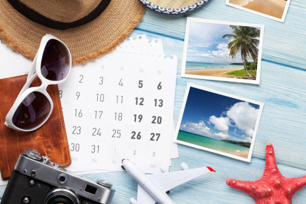 koncept cestovní dovolené - palma arecales fotky - stock snímky, obrázky a fotky