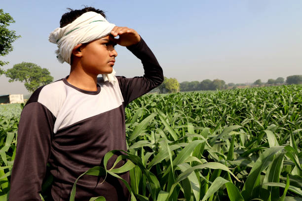 istock Young farmer standing in the green field 1152403431