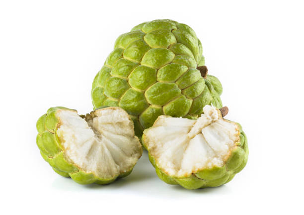 istock Ripe Sugar Apple fruit isolated on white background 1152403837