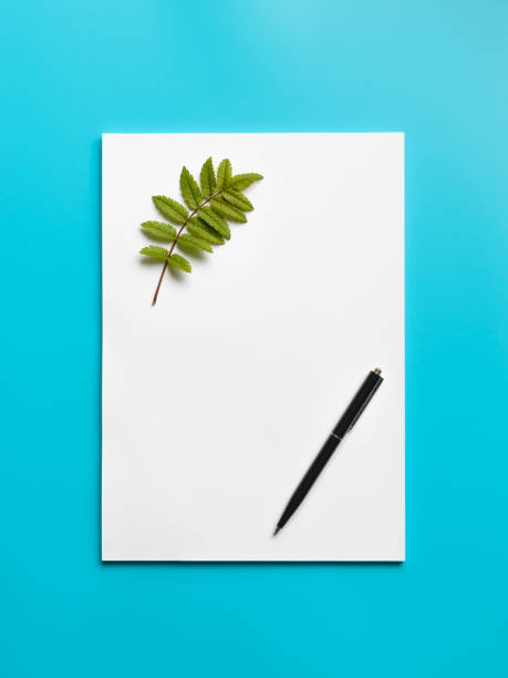 istock Inspiration blank stack paper black pen and leafs. Inspiration concept. Blank paper on blue background. Flat lay 1152403997