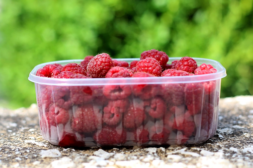Freshly picked raspberries in a plastic packaging, in a garden. Selective focus, green background.