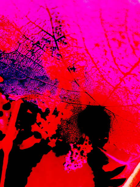 istock Abstraction. Light and shadow. Illustration. Macro and close-up. 1152405008