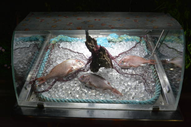 Fresh fish on ice in restaurant in Greece.