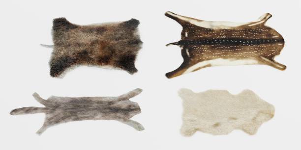istock Realistic 3D Render of Animal Skins 1152409283