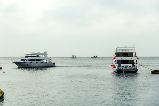 istock several white yachts are in the blue sea 1152415237