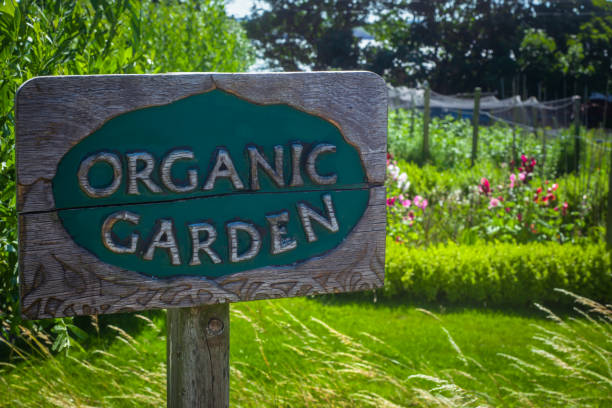 signe de jardin organique en bois rustique dans un jardin communautaire - insecticide organic sign vegetable garden photos et images de collection