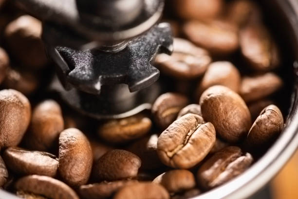 Macro image of lots of smooth brown coffee beans sitting in the top of a small manual grinding coffee machine. The focus is selective and is on the coffee bean in the lower right of the image.