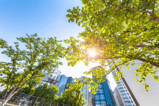 istock Fresh green and urban buildings 1152417033
